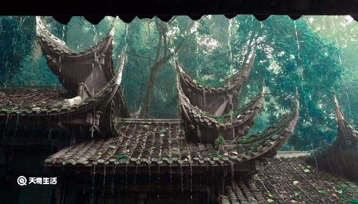 一场秋雨凉下一句是什么?一场秋雨一场凉的下一句怎么说?(一场秋雨一场寒的下一句是什么)