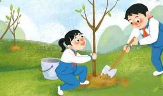 植树节的意义是什么?植树节活动的意义(植树节的意义是什么)