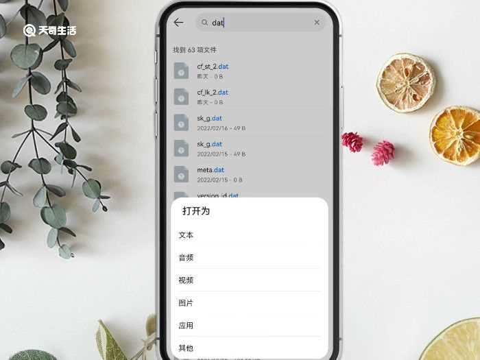 dat怎么打开?dat文件怎么打开?(dat文件怎么打开)
