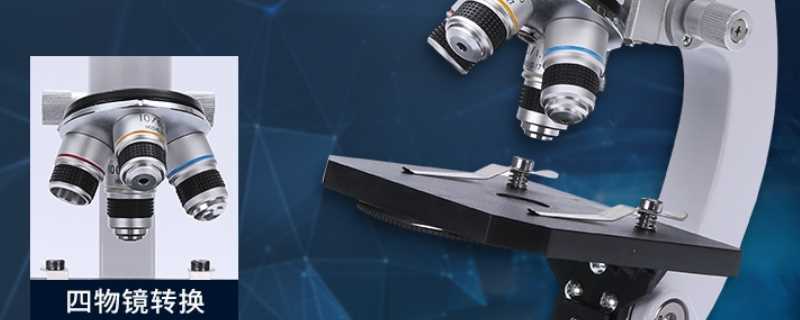 显微镜结构图和名称和作用(显微镜的结构图)