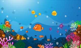 海底世界资料是什么?海底世界资料(海底世界资料)