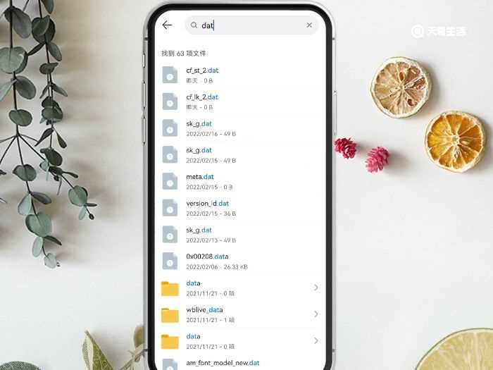 dat怎么打开?dat文件怎么打开?(dat文件怎么打开)