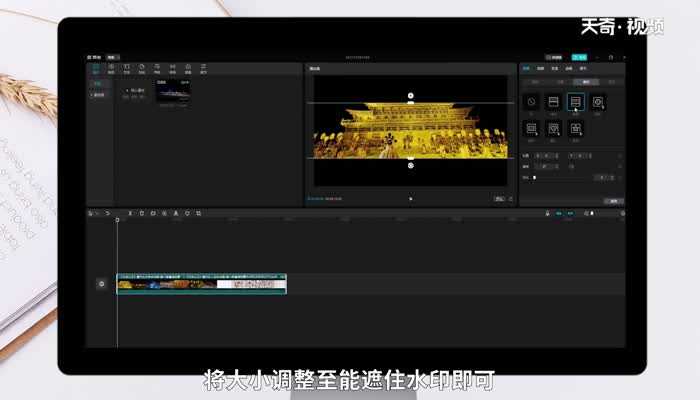 怎么去除视频水印?怎么去除视频水印?(视频怎么去水印)
