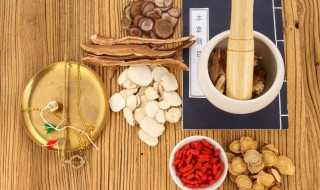 中草药种植适合在什么地方种?什么地方适合草药种植(草药种植)