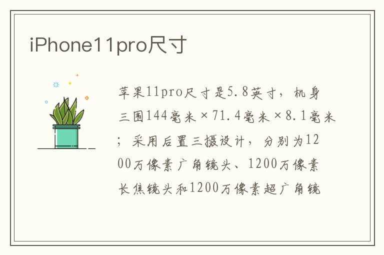 iPhone11pro尺寸(苹果11pro尺寸多大)