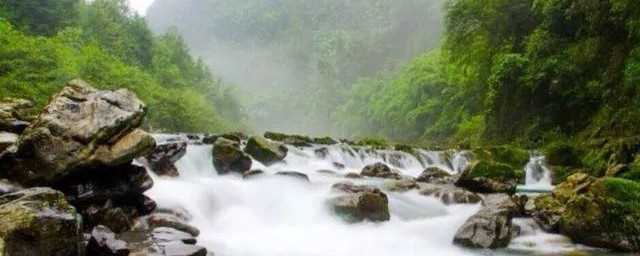 泉水叮叮咚咚的穿过山谷_泉水叮咚响表达的意思