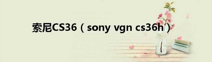 sony_vgn_cs36h_索尼CS36(sony cs36)