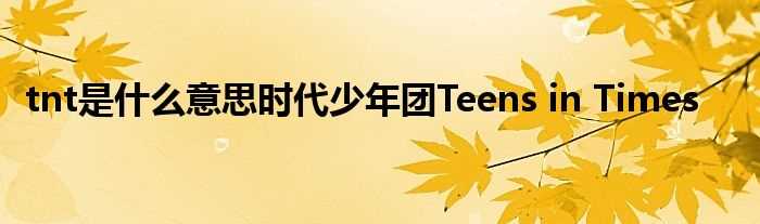 tnt是什么意思时代少年团Teens_in_Times?(tnt)