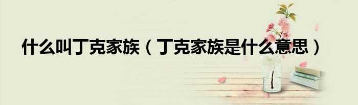 丁克家族是什么意思_什么叫丁克家族?(丁克家族)