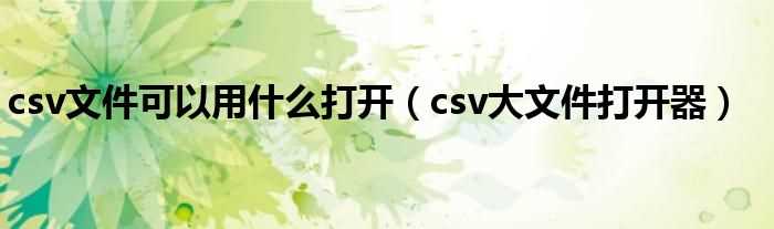 csv大文件打开器_csv文件可以用什么打开?(csv大文件打开器)