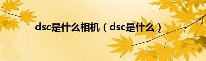 dsc是什么_dsc是什么相机?(dsc)