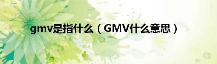 GMV什么意思_gmv是指什么?(gmv)