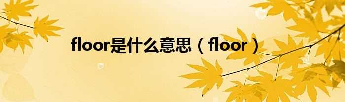 floor_floor是什么意思?(floor)