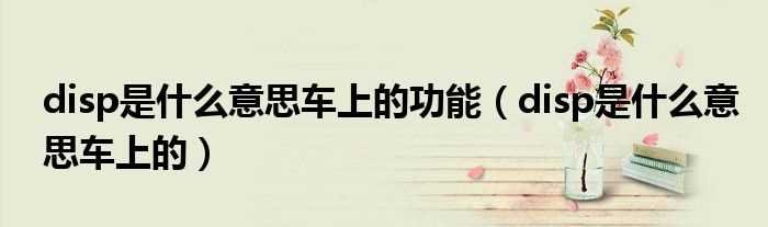 disp是什么意思车上的_disp是什么意思车上的功能?(disp)