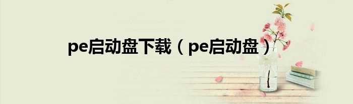 pe启动盘_pe启动盘下载(pe启动盘)