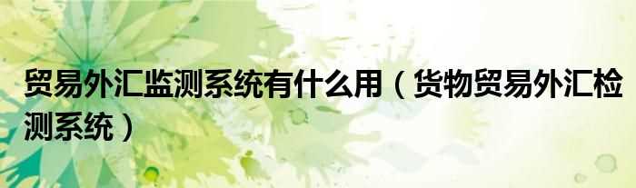 货物贸易外汇检测系统_贸易外汇监测系统有什么作用?(货物贸易外汇监测系统)
