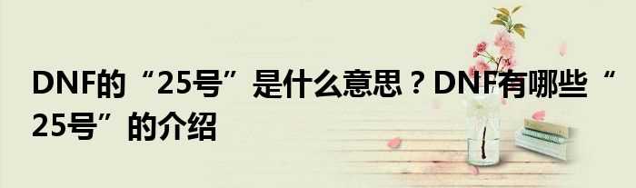 DNF的“25号”是什么意思？DNF有哪些“25号”的介绍?(dnf25)