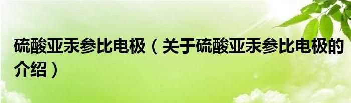 关于硫酸亚汞参比电极的介绍_硫酸亚汞参比电极(硫酸亚汞参比电极)