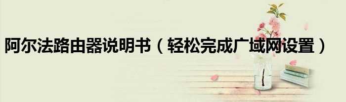 轻松完成广域网设置_阿尔法路由器说明书(阿尔法路由器设置)