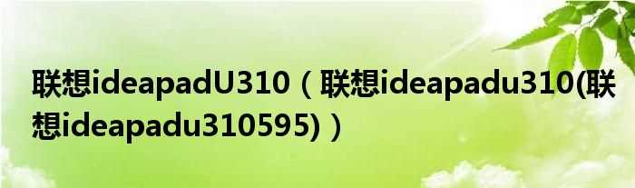 联想ideapadu310(联想ideapadu310595_联想ideapadU310)(联想ideapadu310)