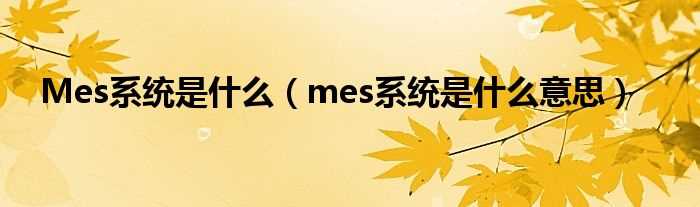 mes系统是什么意思_Mes系统是什么?(MES)
