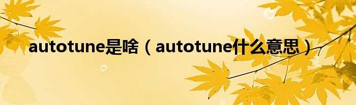 autotune什么意思_autotune是啥?(autotune)