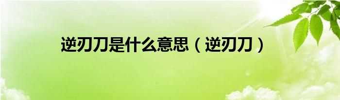 逆刃刀_逆刃刀是什么意思?(逆刃)