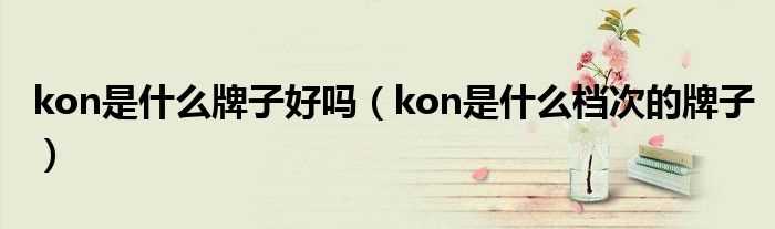 kon是什么档次的牌子_kon是什么牌子好吗?(KON)