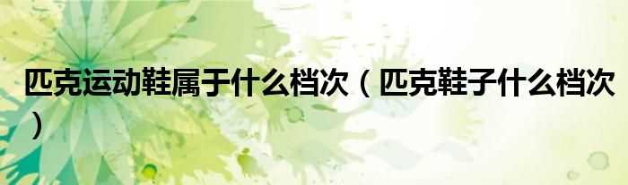 匹克鞋子什么档次_匹克运动鞋属于什么档次?(匹克运动鞋)