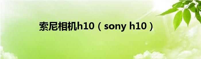 sony_h10_索尼相机h10(h10)