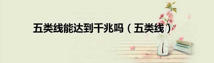 五类线_五类线能达到千兆吗?(五类线)