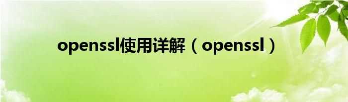 openssl_openssl使用详解(openssl)