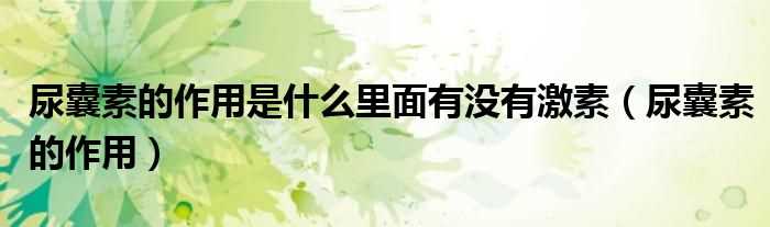 尿囊素的作用_尿囊素的作用是什么里面有没有激素?(尿囊素)