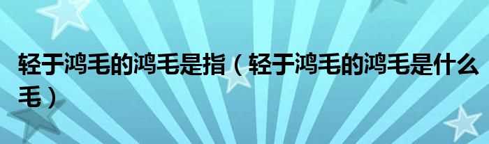 轻于鸿毛的鸿毛是什么毛_轻于鸿毛的鸿毛是指?(轻于鸿毛的鸿毛)