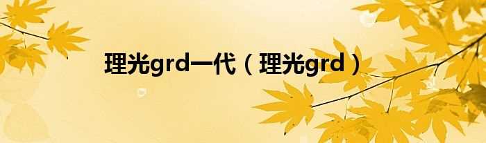 理光grd_理光grd一代(理光grd)