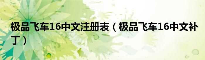 极品飞车16中文补丁_极品飞车16中文注册表(极品飞车16中文补丁)