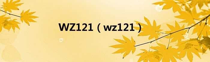 wz121_WZ121(wz121)