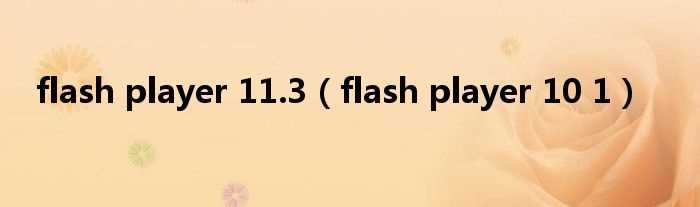 flash_player_10_1_flash_player_11.3(flash player 11.3)