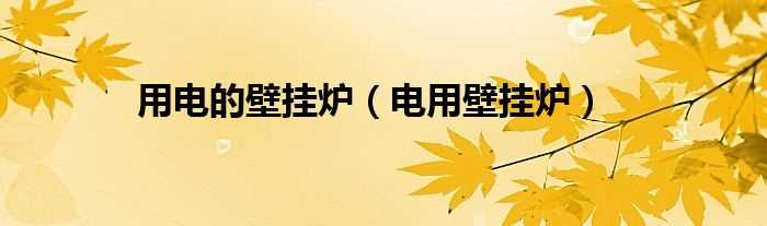 电用壁挂炉_用电的壁挂炉(电用壁挂炉)