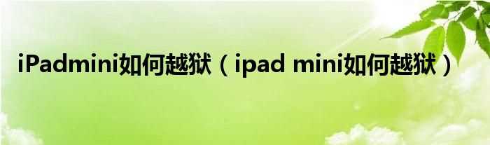 ipad?mini怎么越狱_iPadmini怎么越狱?(mini越狱)