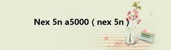 nex_5n_Nex_5n_a5000(nex-5n)