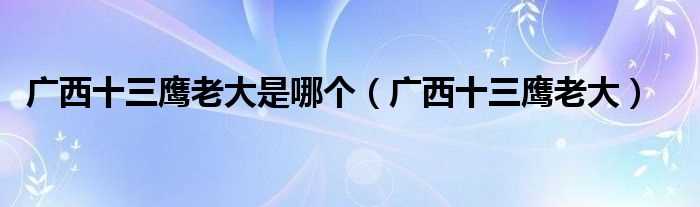 广西十三鹰老大_广西十三鹰老大是哪个?(广西十三鹰)