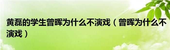 曾晖为什么不演戏_黄磊的学生曾晖为什么不演戏?(黄磊学生曾晖)