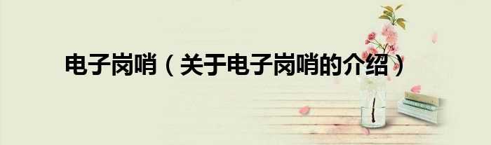 关于电子岗哨的介绍_电子岗哨(电子岗哨)