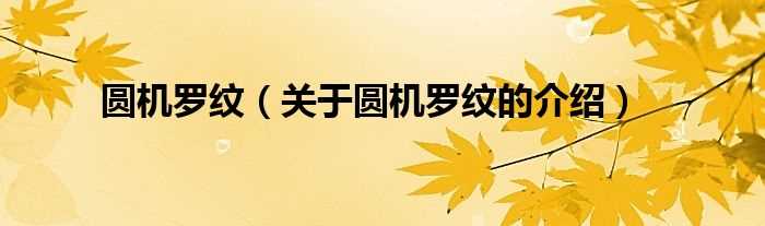 关于圆机罗纹的介绍_圆机罗纹(圆机罗纹)