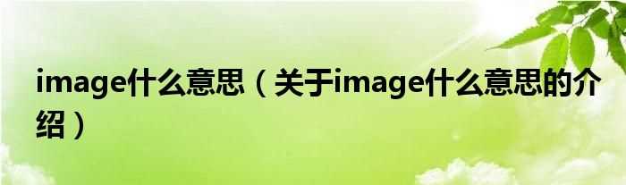 关于image什么意思的介绍_image什么意思?(image)