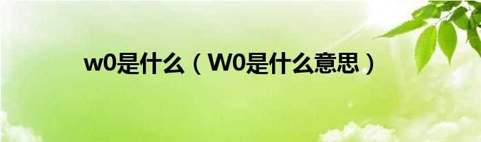W0是什么意思_w0是什么?(w0)