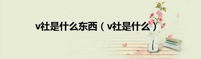 v社是什么_v社是什么东西?(v社)