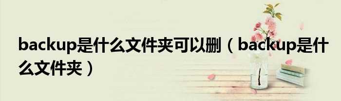 backup是什么文件夹_backup是什么文件夹可以删?(backup文件夹)