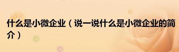 说一说什么是小微企业的简介_什么是小微企业?(小微企业)